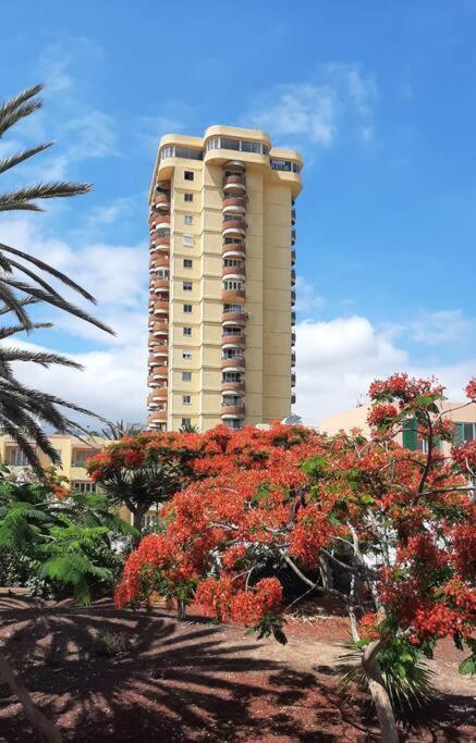 Estudio Coqueto Torres Del Sol アロナ エクステリア 写真